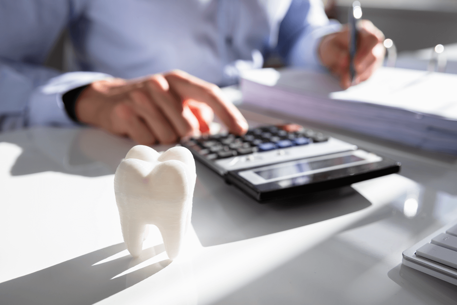 Real-Life Case Studies: Renovation Success Stories