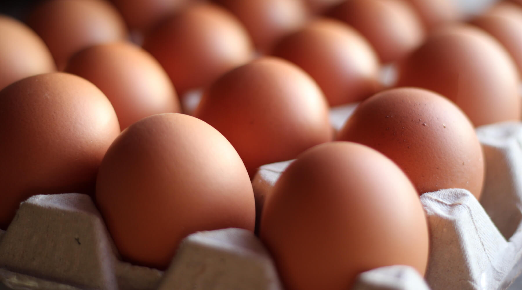 The Scramble for Eggs: How Inflation Is Changing Consumer Behavior